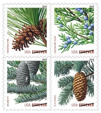 2010-holiday-evergreen-usps-forever-stamps-authentic-postage-authstamps (1) 2010 Holiday Evergreen-USPS Forever Stamps(Booklet) - Image 1