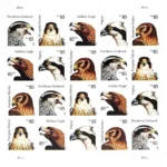 2012 85c Birds of Prey: Golden Eagle-USPS Forever Stamps（Sheet） - Image 2