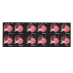 2014 US Flags -USPS Forever Stamps（Booklet） - Image 2