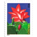 2014 Winter Flowers-USPS Forever Stamps（Booklet）