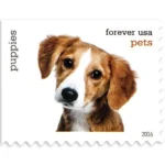 2016 Pets Celebrate Animals-USPS Forever Stamps（Booklet）