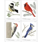 2018 Birds in Winter-USPS Forever Stamps（Booklet）