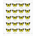 2019 California Dogface Butterfly-Non-machinable for Square Stamps（Sheet） - Image 2