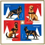 2019 Military Working Dogs-USPS Forever Stamps（Sheet）
