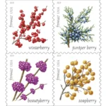 2019 Winter Berries-USPS Forever Stamps（Booklet）