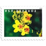 2020 Wild Orchids-USPS Forever Stamps（Booklet） - Image 3