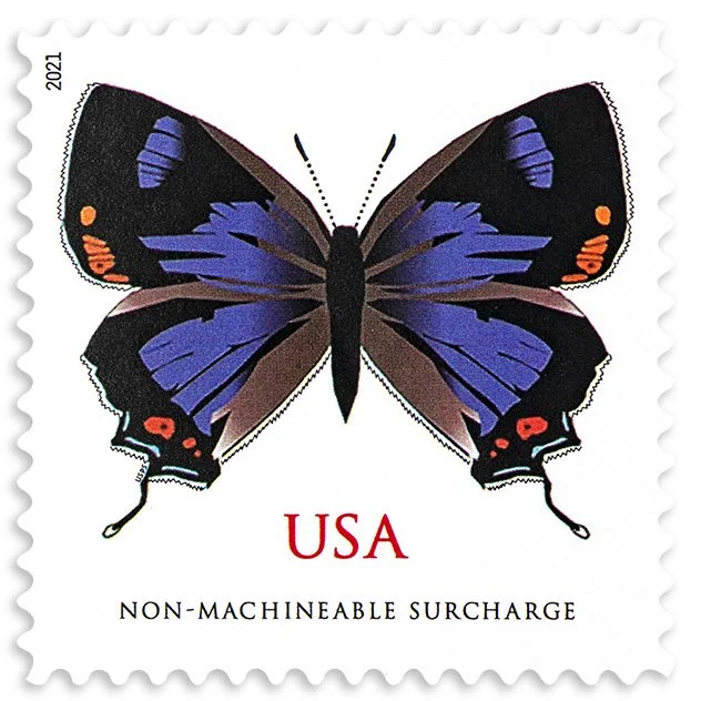 2021 Colorado Hairstreak-Non-machinable for Square Stamps（Sheet） - Image 1