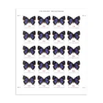 2021 Colorado Hairstreak-Non-machinable for Square Stamps（Sheet） - Image 2