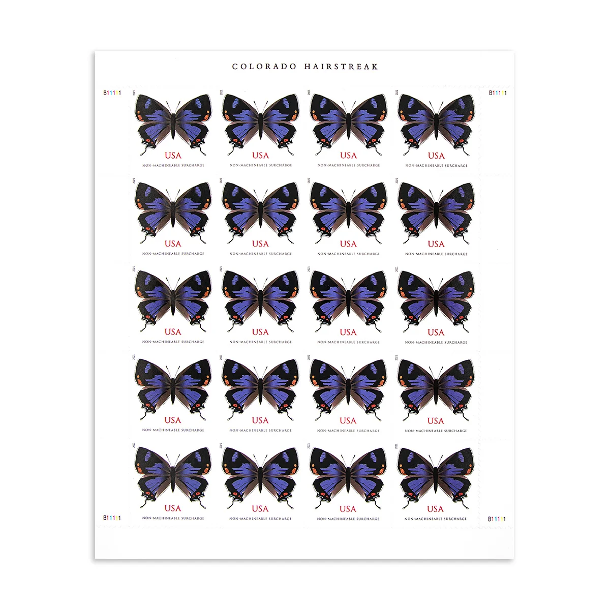 2021 Colorado Hairstreak-Non-machinable for Square Stamps（Sheet） - Image 2