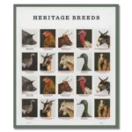 2021 Heritage Breeds-USPS Forever Stamps（Sheet） - Image 2