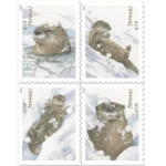 2021 Otters in Snow-USPS Forever Stamps（Booklet）