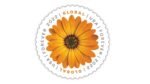 2022 Global African Daisy-USPS Forever Stamps Book of 50