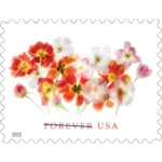 2022 Tulips Ali-USPS Forever Stamps（Sheet）