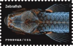 2023 Life Magnified-USPS Forever Stamps（Sheet） - Image 2