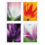 2023 Tulip Blossoms-USPS Forever Stamps（Booklet）