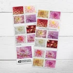 2025 Dahlias-USPS Forever Stamps（Sheet） - Image 2