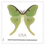 2025 Luna Moth-Non-machinable for Square Stamps（Sheet）